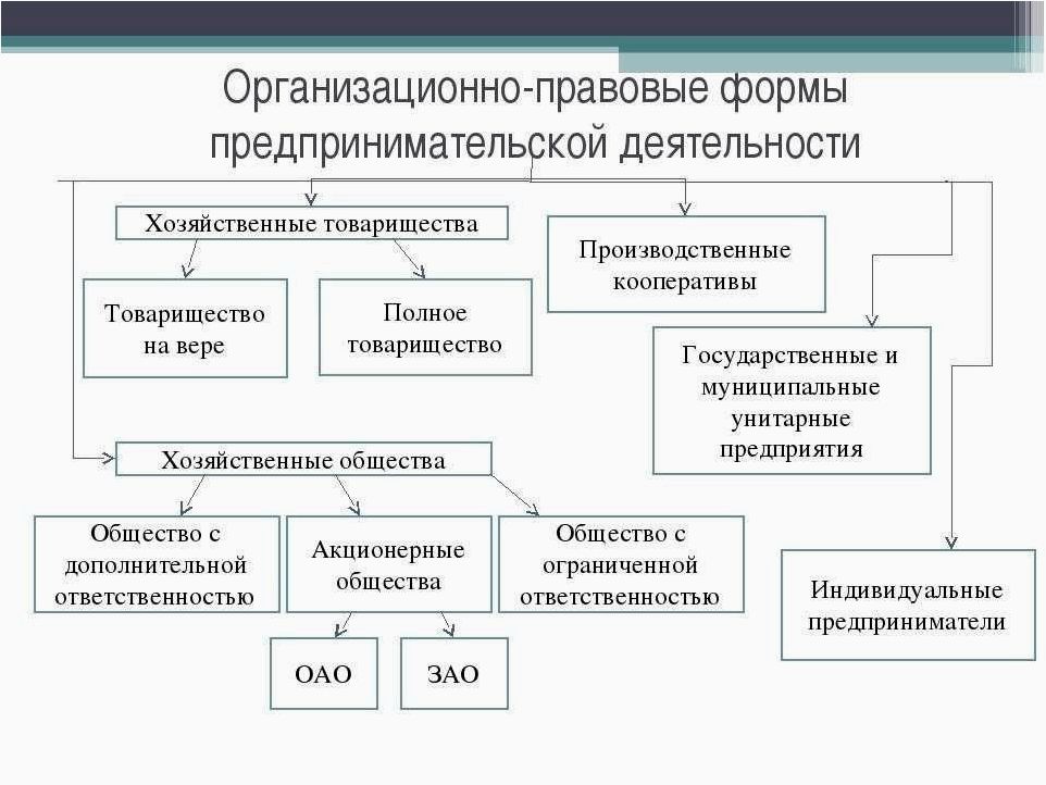 Организационно-правовые формы и правовой режим в бизнесе