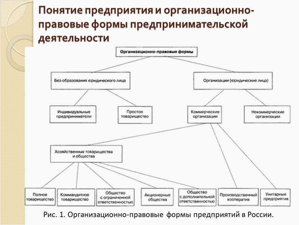 Организационно-правовые формы и правовой режим в бизнесе