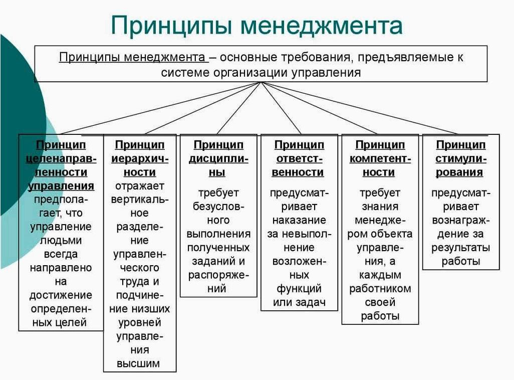 Финансирование бизнеса и принципы эффективного менеджмента