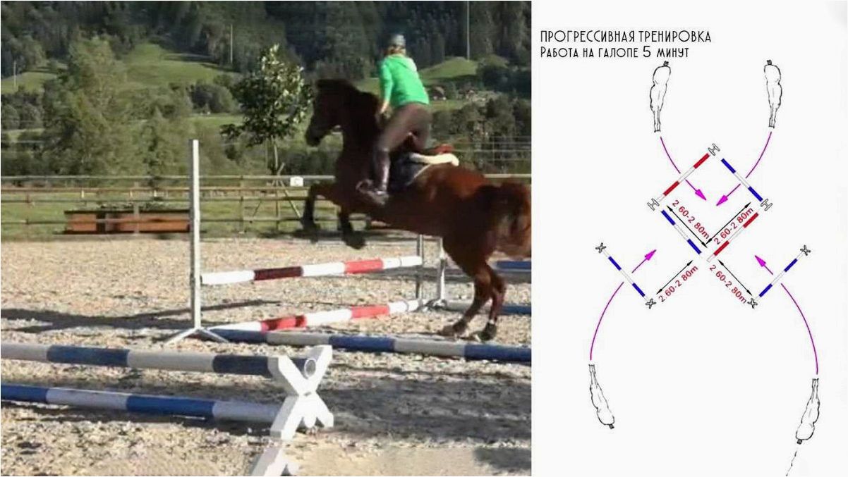 Конкур-иппик как искусство преодоления препятствий на соревнованиях