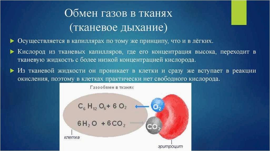 Роль крови в переносе кислорода в организме