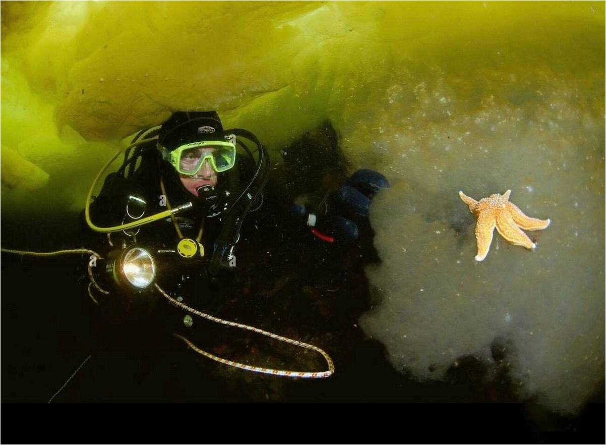 Уникальные места и удивительная подводная жизнь Белого моря