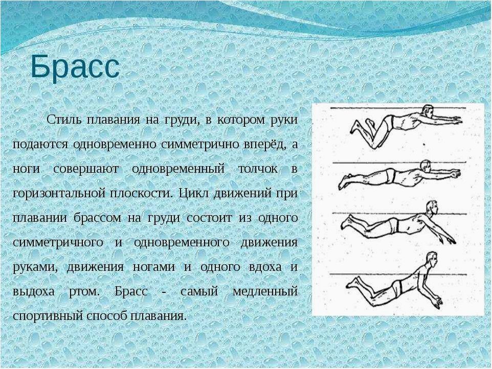 Брасс как вдохновение из мира лягушек