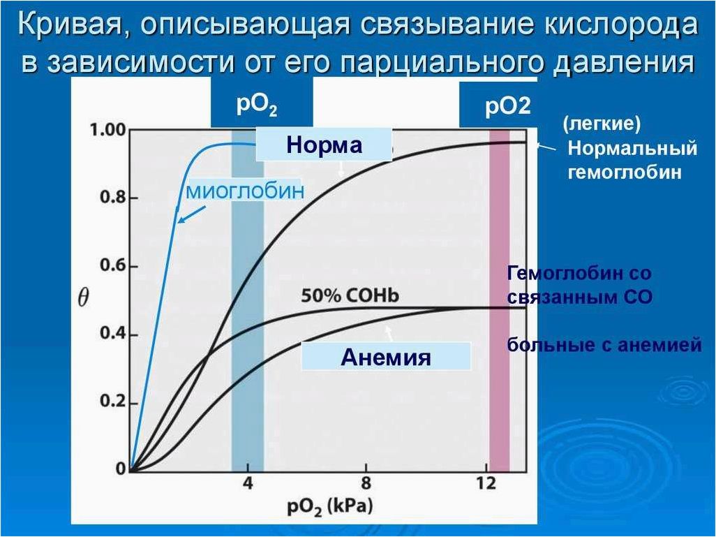 (понижение, парциального, давления, кислорода, влияет) Как понижение парциального давления кислорода влияет на восприятие туристов