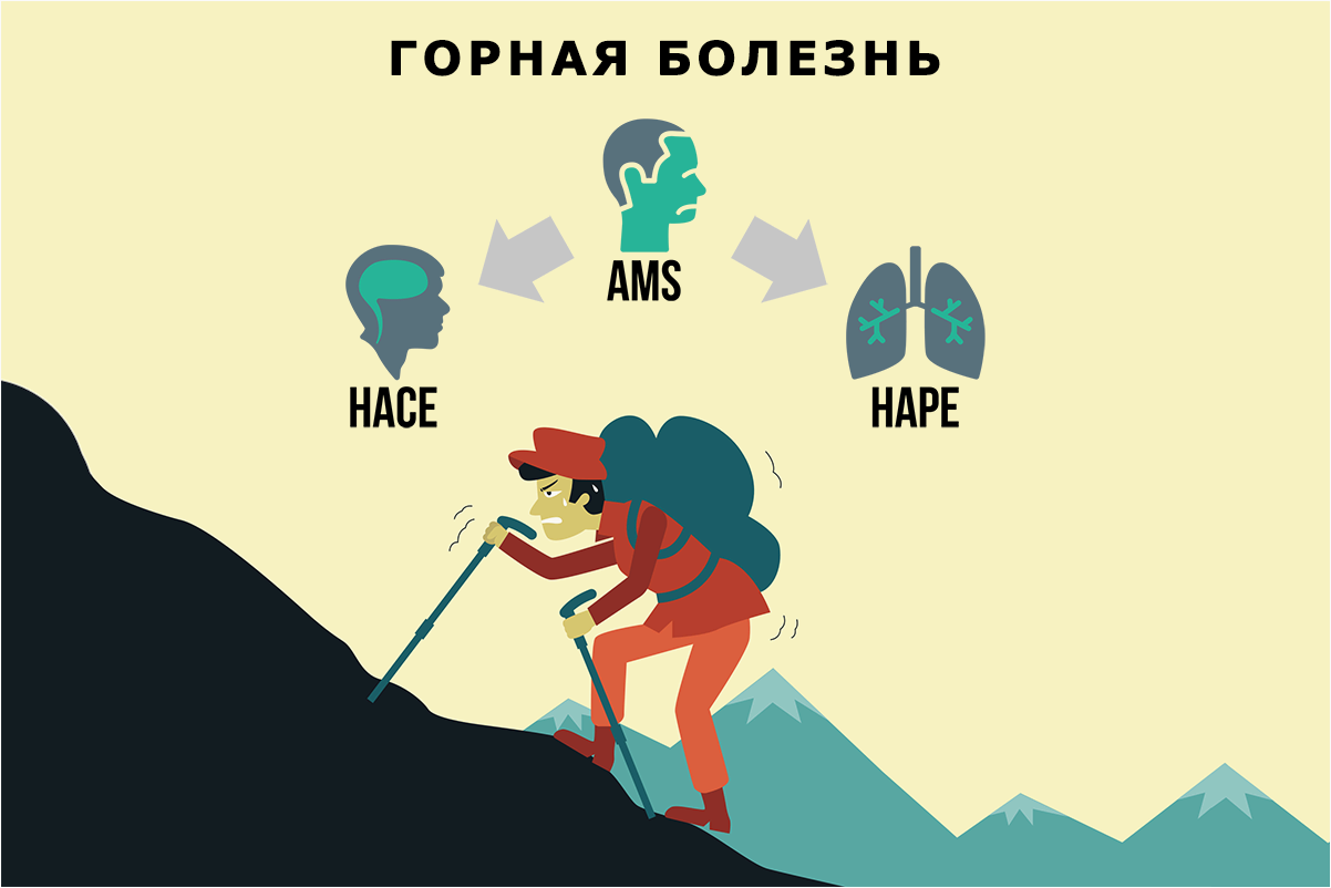 (понижение, парциального, давления, кислорода, влияет) Как понижение парциального давления кислорода влияет на восприятие туристов