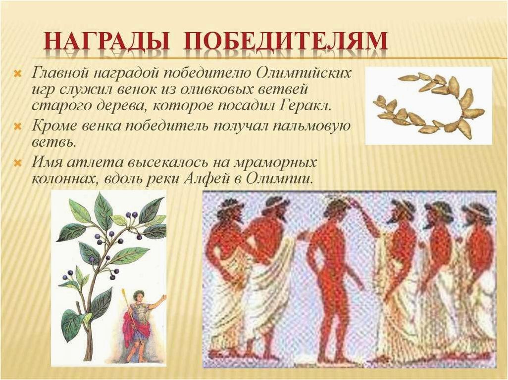 (награды, победителей, древней, греции, венок) Награды для победителей в Древней Греции венок как символ успеха