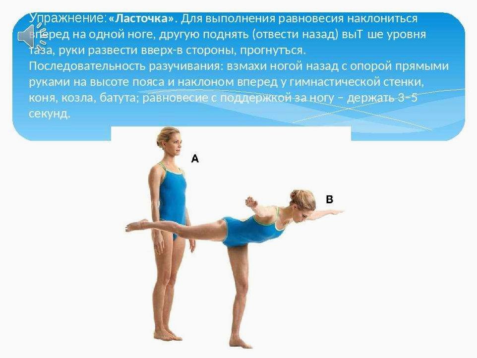 Гимнастическая фигура Ласточка и ее пернатый тезка