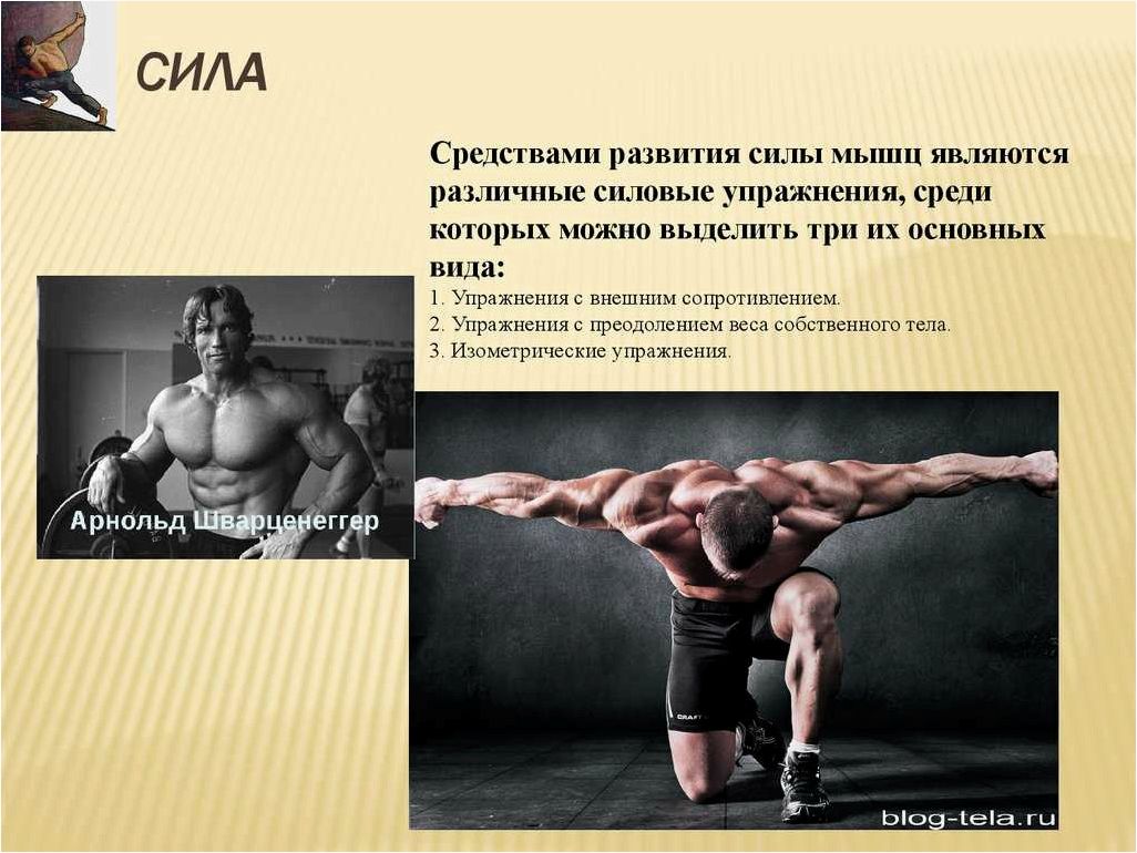 (сила, человека, выраженная, мускулы) Сила человека выраженная через мускулы