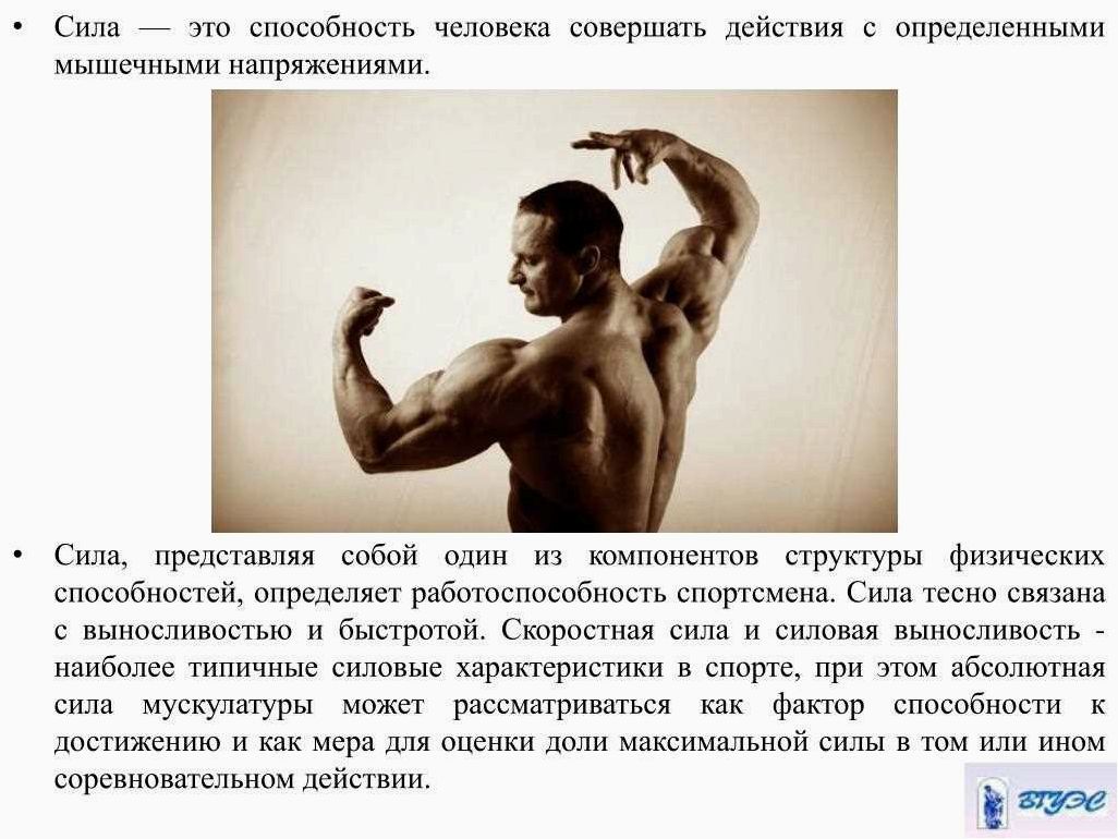 (сила, человека, выраженная, мускулы) Сила человека выраженная через мускулы
